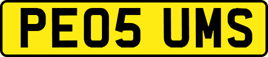 PE05UMS