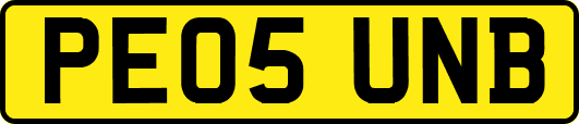 PE05UNB