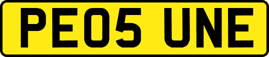 PE05UNE