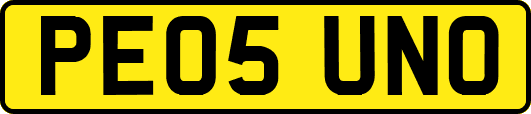 PE05UNO