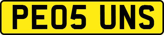 PE05UNS