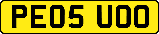 PE05UOO