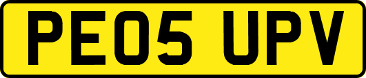 PE05UPV