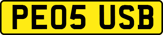 PE05USB