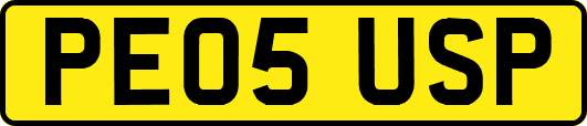 PE05USP