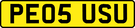 PE05USU