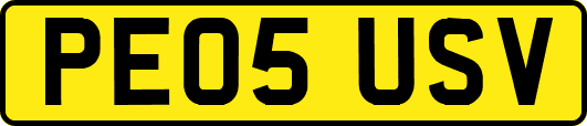 PE05USV