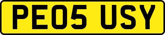 PE05USY