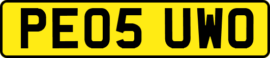 PE05UWO
