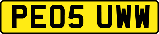 PE05UWW