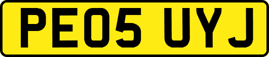 PE05UYJ