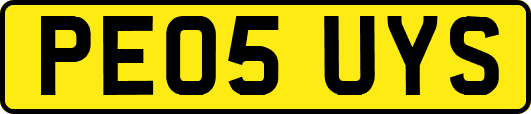 PE05UYS