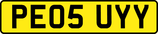 PE05UYY