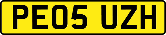 PE05UZH