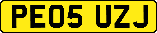 PE05UZJ