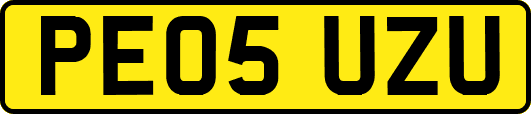 PE05UZU