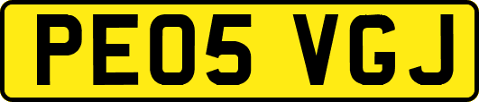 PE05VGJ