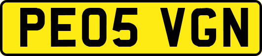 PE05VGN