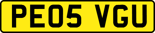 PE05VGU