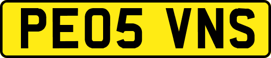PE05VNS