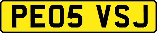 PE05VSJ