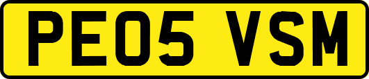 PE05VSM