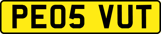 PE05VUT