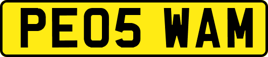 PE05WAM