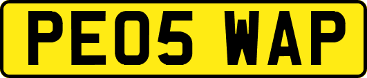PE05WAP