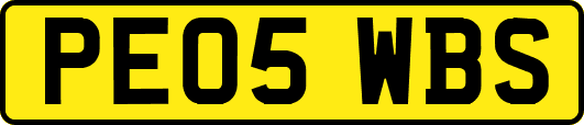 PE05WBS