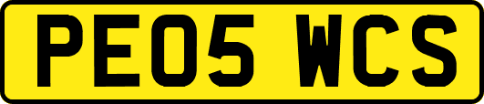 PE05WCS
