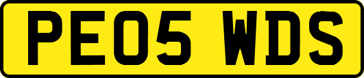 PE05WDS