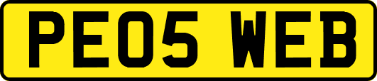 PE05WEB