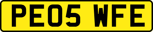 PE05WFE