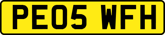 PE05WFH