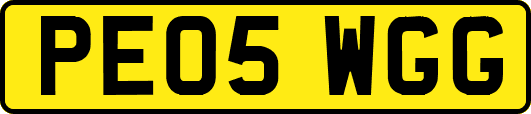 PE05WGG