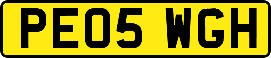 PE05WGH