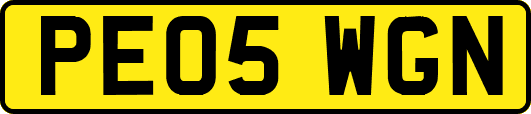PE05WGN
