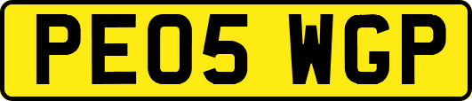 PE05WGP