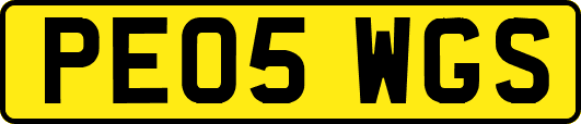 PE05WGS