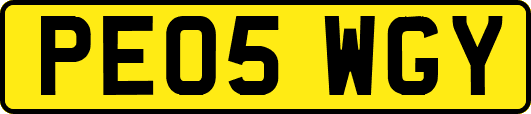 PE05WGY