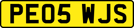 PE05WJS