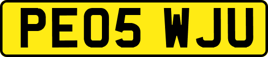 PE05WJU
