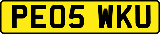 PE05WKU
