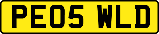 PE05WLD