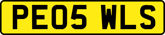 PE05WLS