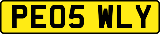 PE05WLY
