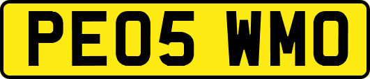 PE05WMO