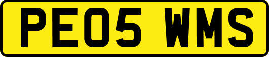 PE05WMS