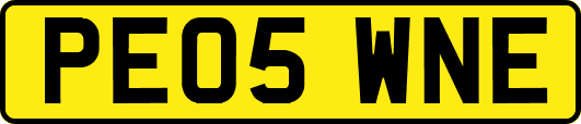 PE05WNE